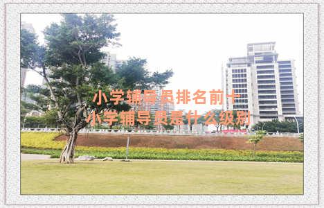 小学辅导员排名前十 小学辅导员是什么级别